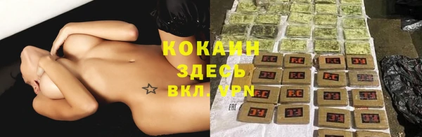 Альфа ПВП Дмитров