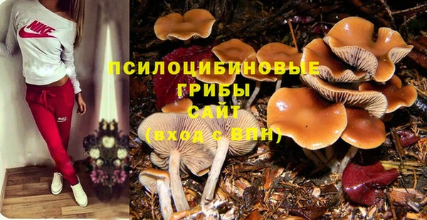 таблы Дмитриев