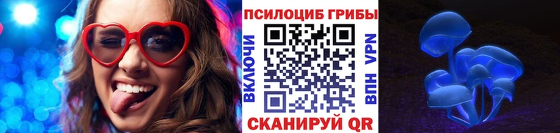 Купить закладки  Калязин  Псилоцибиновые грибы Cubensis 